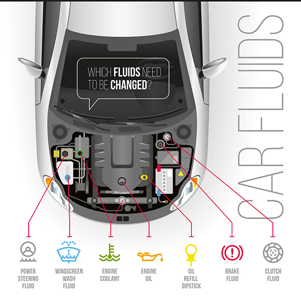 How Do Old Fluids Quietly Wear Down Expensive Car Parts?